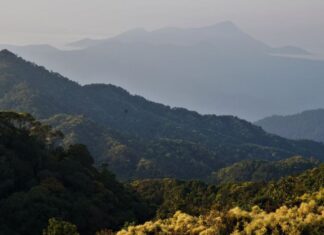 Khám phá Vườn di sản ASEAN, 'mái nhà chung' của nhiều loài động vật quý hiếm ở Huế