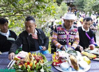 Lễ cúng cây chè tổ của đồng bào Mông ở Lào Cai