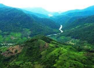 Vườn quốc gia Phước Bình: Khám phá 'lá phổi xanh' Ninh Thuận
