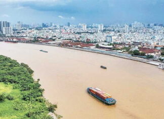 Đánh thức hệ sinh thái sông Sài Gòn Đánh thức hệ sinh thái sông Sài Gòn