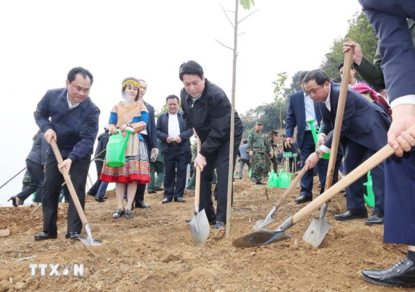 Chủ tịch nước Lương Cường v&agrave; c&aacute;c đại biểu trồng c&acirc;y tại phường L&agrave;o Cai, tỉnh L&agrave;o Cai.