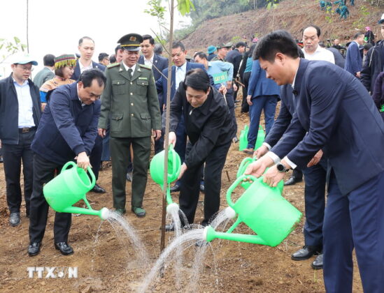 Chủ tịch nước Lương Cường v&agrave; c&aacute;c đại biểu trồng c&acirc;y tại phường L&agrave;o Cai, tỉnh L&agrave;o Cai.