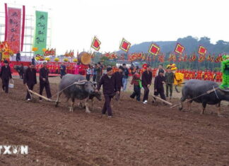 Lễ hội Tịch điền Đọi Sơn: Cầu mưa thuận gió hòa, mùa màng bội thu