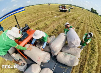 Ngành Nông nghiệp và Môi trường phấn đấu đạt tốc độ tăng trưởng khoảng 4%/năm