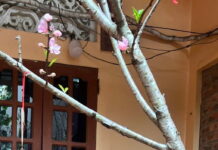 Vạn Xuân mở hội đua thuyền – Truyện lịch sử Phùng Văn Khai Vạn Xuân mở hội đua thuyền - Truyện lịch sử Phùng Văn Khai