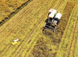 Nâng cao giá trị gia tăng và thúc đẩy số hóa nông nghiệp