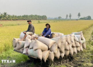 Xuất khẩu nông, lâm, thủy sản tháng đầu năm 2026 tăng gần 30%