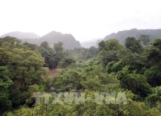 Di sản sống của Trường Sơn: Từ bảo tồn đến kinh tế xanh - [Bài cuối]: