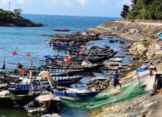 Mô hình mới trong quản lý Khu sinh quyển Cù Lao Chàm - Hội An