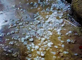 Mưa đá xuất hiện trong đêm tại Hà Nội Mưa đá xuất hiện trong đêm tại Hà Nội