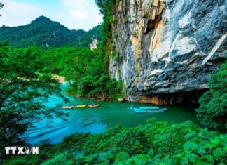 Phong Nha-Kẻ Bàng: Kho báu sinh học chưa được khám phá giữa đại ngàn Trường Sơn