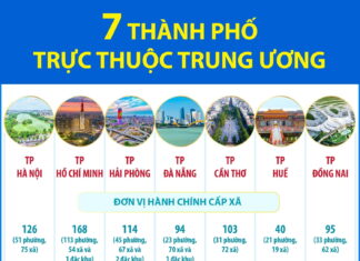 [Infographic]: 7 thành phố trực thuộc Trung ương