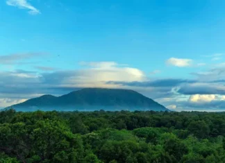 Từ bảo tồn đến khu dự trữ thiên nhiên, Tà Kóu ngọn núi mồ côi không cô độc