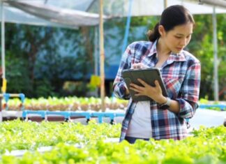 Phát triển nông nghiệp thông minh - Bài cuối: Khi AI và dữ liệu không gian thay đổi cách làm nông