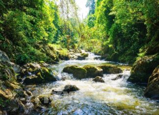 Khám phá thác Cành Lình giữa đại ngàn