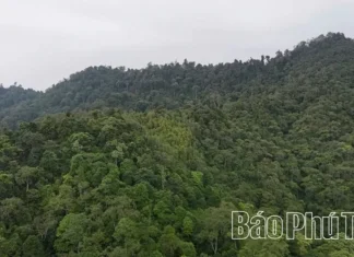 Phú Thọ: Bảo tồn thiên nhiên vì phát triển bền vững