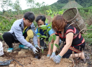 Đà Nẵng: Bảo vệ rừng để phát triển bền vững