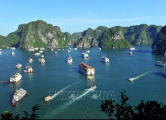 Du lịch Việt Nam - Hành trình khám phá vẻ đẹp bất tận