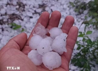 Gần 2.900 căn nhà bị hư hỏng, 102 cột điện bị gãy đổ do dông lốc và mưa đá