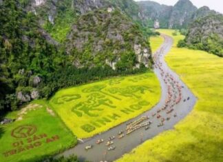 Đặc sắc không gian văn hóa nông nghiệp tại Lễ hội Sắc vàng Tam Cốc-Tràng An năm 2026 Đặc sắc không gian văn hóa nông nghiệp tại Lễ hội Sắc vàng Tam Cốc-Tràng An năm 2026
