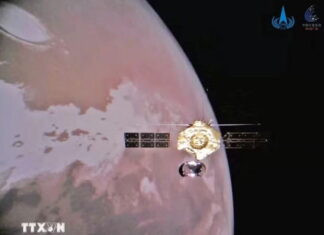 NASA tăng tốc săn tìm tiểu hành tinh kim loại vô cùng quý hiếm trong hệ Mặt Trời NASA tăng tốc săn tìm tiểu hành tinh kim loại vô cùng quý hiếm trong hệ Mặt Trời