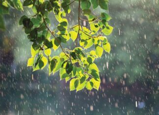 Bản tin dự báo, cảnh báo xu thế thời tiết trên đất liền thời hạn đến 10 ngày (Từ đêm13/5 đến ngày 23/5)