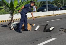 Động đất 7,8 độ tại Philippines, ít nhất 1 người thiệt mạng