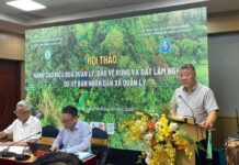 Hơn 3 triệu ha rừng cần sớm được xác lập chủ thể quản lý