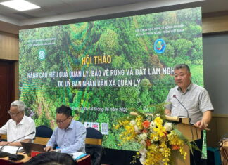 Hơn 3 triệu ha rừng cần sớm được xác lập chủ thể quản lý