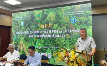 Hơn 3 triệu ha rừng cần sớm được xác lập chủ thể quản lý