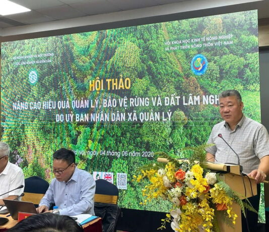 Hơn 3 triệu ha rừng cần sớm được xác lập chủ thể quản lý