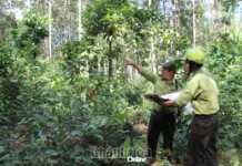Bảo tồn đa dạng sinh học ở Hòn Bà