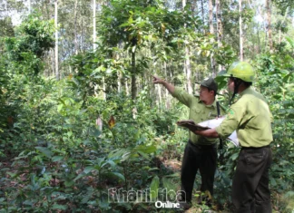 Bảo tồn đa dạng sinh học ở Hòn Bà