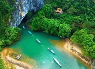 Gìn giữ Phong Nha - Kẻ Bàng: Kho báu sống của Việt Nam