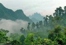 Phát triển Vườn Quốc gia Xuân Sơn thành điểm du lịch sinh thái trọng điểm Phát triển Vườn Quốc gia Xuân Sơn thành điểm du lịch sinh thái trọng điểm