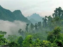Phát triển Vườn Quốc gia Xuân Sơn thành điểm du lịch sinh thái trọng điểm