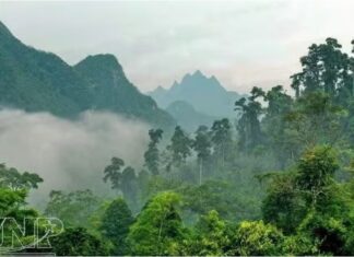 Phát triển Vườn Quốc gia Xuân Sơn thành điểm du lịch sinh thái trọng điểm