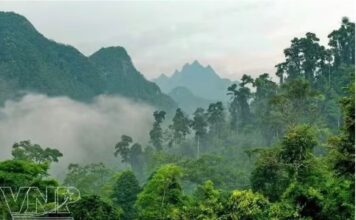 Phát triển Vườn Quốc gia Xuân Sơn thành điểm du lịch sinh thái trọng điểm Phát triển Vườn Quốc gia Xuân Sơn thành điểm du lịch sinh thái trọng điểm