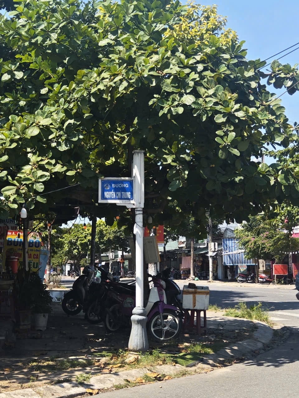 Nguyễn Chí Trung 4