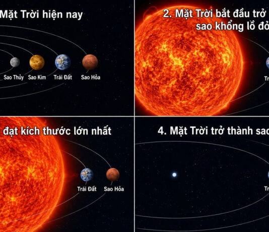 Nghiên cứu mới: Trái Đất có thể sống sót khi Mặt Trời lụi tàn Nghiên cứu mới: Trái Đất có thể sống sót khi Mặt Trời lụi tàn