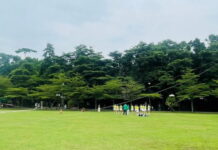 Việt Nam lọt top 5 điểm đến của Gen Z toàn cầu, không chỉ nhờ cảnh đẹp