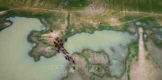 Hồ Dầu Tiếng: Mở dư địa phát triển kinh tế xanh từ ‘lá phổi’ vùng Đông Nam Bộ Hồ Dầu Tiếng: Mở dư địa phát triển kinh tế xanh từ 'lá phổi' vùng Đông Nam Bộ