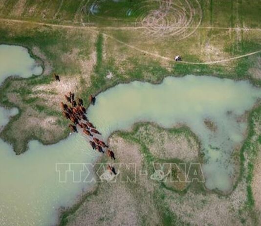 Hồ Dầu Tiếng: Mở dư địa phát triển kinh tế xanh từ ‘lá phổi’ vùng Đông Nam Bộ Hồ Dầu Tiếng: Mở dư địa phát triển kinh tế xanh từ 'lá phổi' vùng Đông Nam Bộ
