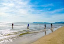 Hà Tĩnh: Khám phá nghề kéo lưới rùng truyền thống ở làng biển Hải Ninh Hà Tĩnh: Khám phá nghề kéo lưới rùng truyền thống ở làng biển Hải Ninh