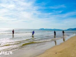 Hà Tĩnh: Khám phá nghề kéo lưới rùng truyền thống ở làng biển Hải Ninh Hà Tĩnh: Khám phá nghề kéo lưới rùng truyền thống ở làng biển Hải Ninh