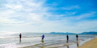 Hà Tĩnh: Khám phá nghề kéo lưới rùng truyền thống ở làng biển Hải Ninh Hà Tĩnh: Khám phá nghề kéo lưới rùng truyền thống ở làng biển Hải Ninh