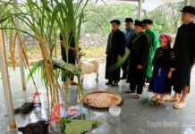 Độc đáo lễ cúng thần rừng của đồng bào Pu Péo ở Cháng Lộ