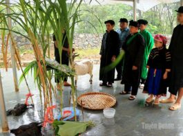Độc đáo lễ cúng thần rừng của đồng bào Pu Péo ở Cháng Lộ