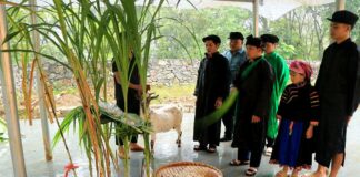 Độc đáo lễ cúng thần rừng của đồng bào Pu Péo ở Cháng Lộ