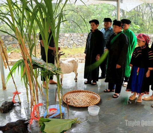 Độc đáo lễ cúng thần rừng của đồng bào Pu Péo ở Cháng Lộ